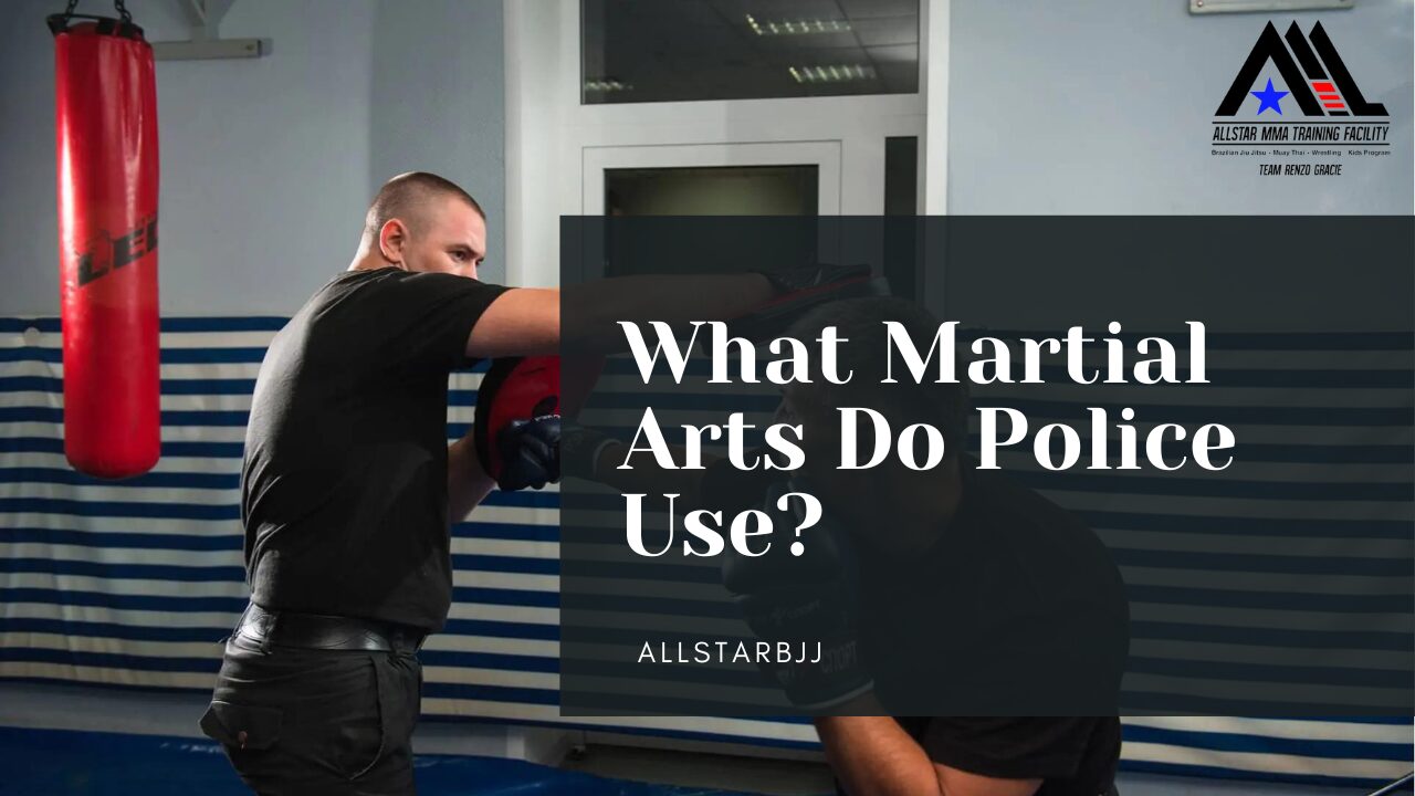 Police Martial Arts Training: Combat Techniques and Self-Defense Methods Used by Law Enforcement